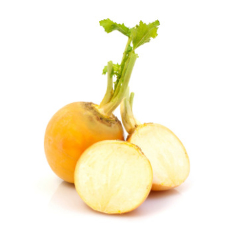 Rübchen gelb