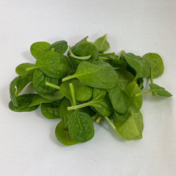 Baby Mangold (Red Chard) Schale