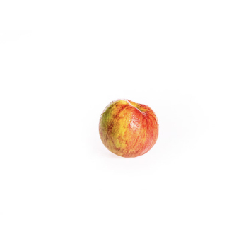 Apfel "Gravensteiner"