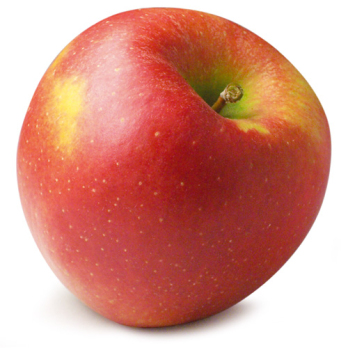 Apfel "Honey Crisp"
