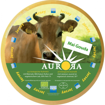 Maigouda Jersey 50% Fett i. Tr