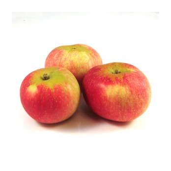 Apfel "Discovery"