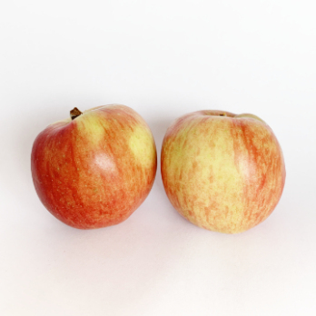 Apfel "Zari"