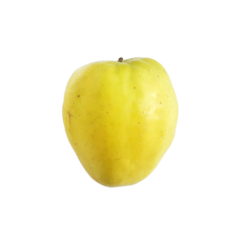 Apfel "Schweizer Winterglocke"