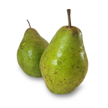 Birne "Köstliche von Charneux"