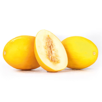 Honigmelone "Canari"