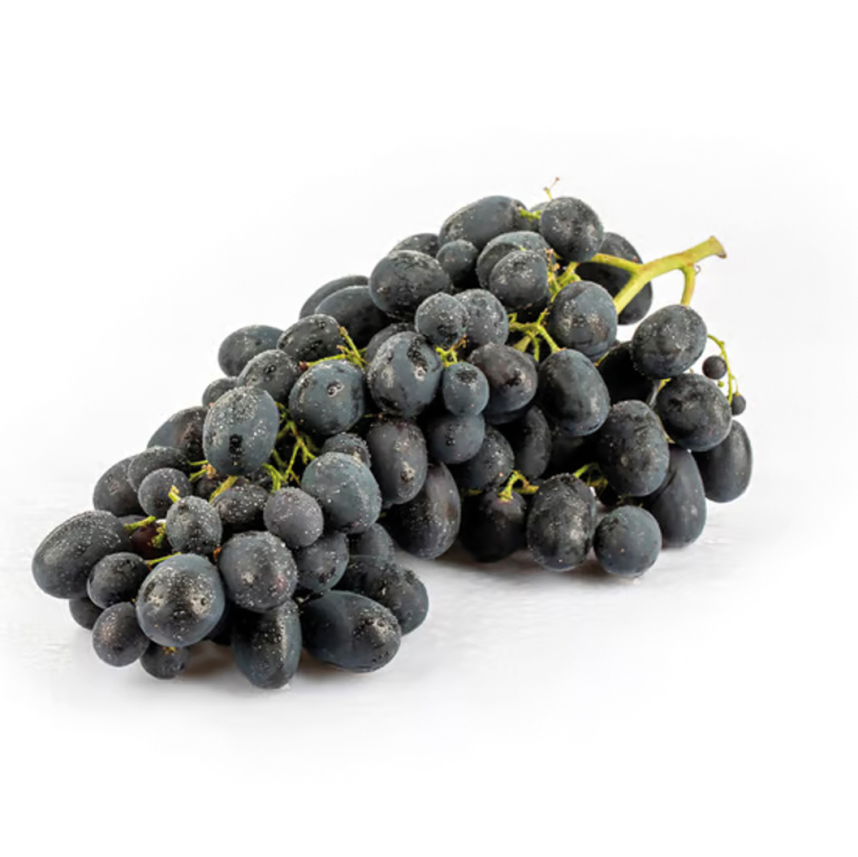 Traube blau "Black Magic"