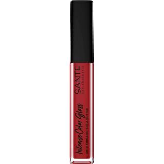Intense Color Gloss 06 Darling Red