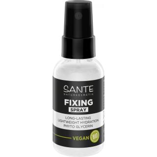 Fixing Spray