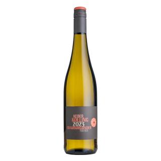 Grauburgunder trocken Weißwein 2024 (DE)