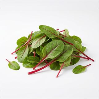 Baby Mangold (Red Chard) Schale