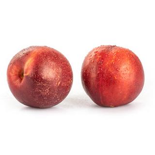 Nektarinen gelb 1,7 kg Kiste