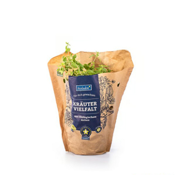 Kräutertopf Majoran