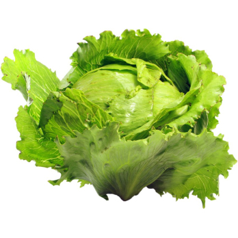 Salat "Eisberg"