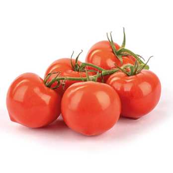 Strauchtomate