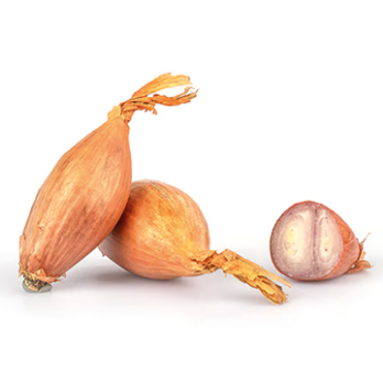 Schalotten
