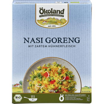 TK Nasi Goreng