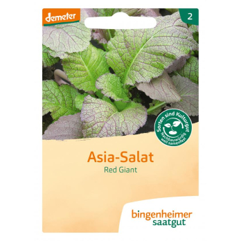 Saat Asia Salat "Red Giant"