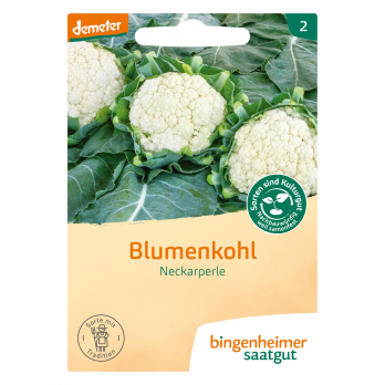 Saat Blumenkohl "Neckarperle"