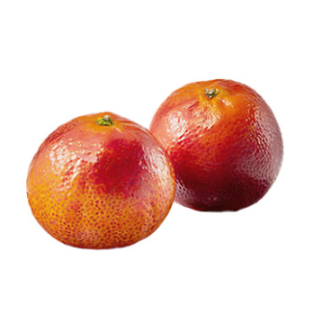 Halbblut-Clementinen Tacle