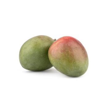 Mango "Kent" ca. 500 g